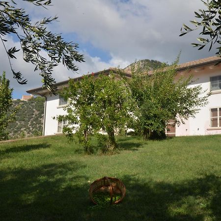 B&B Macchia D'Olmo Capaccio Dış mekan fotoğraf