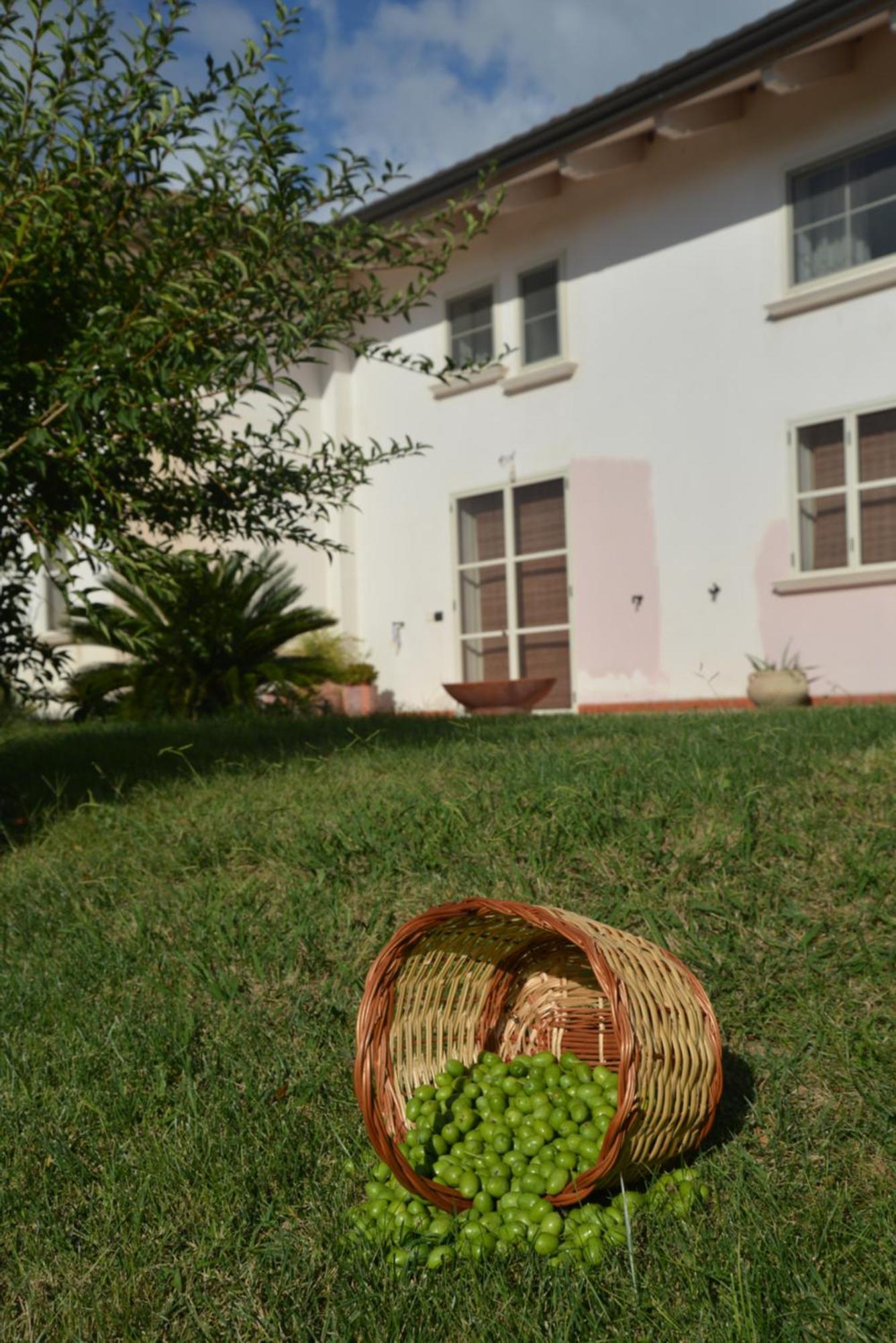 B&B Macchia D'Olmo Capaccio Dış mekan fotoğraf