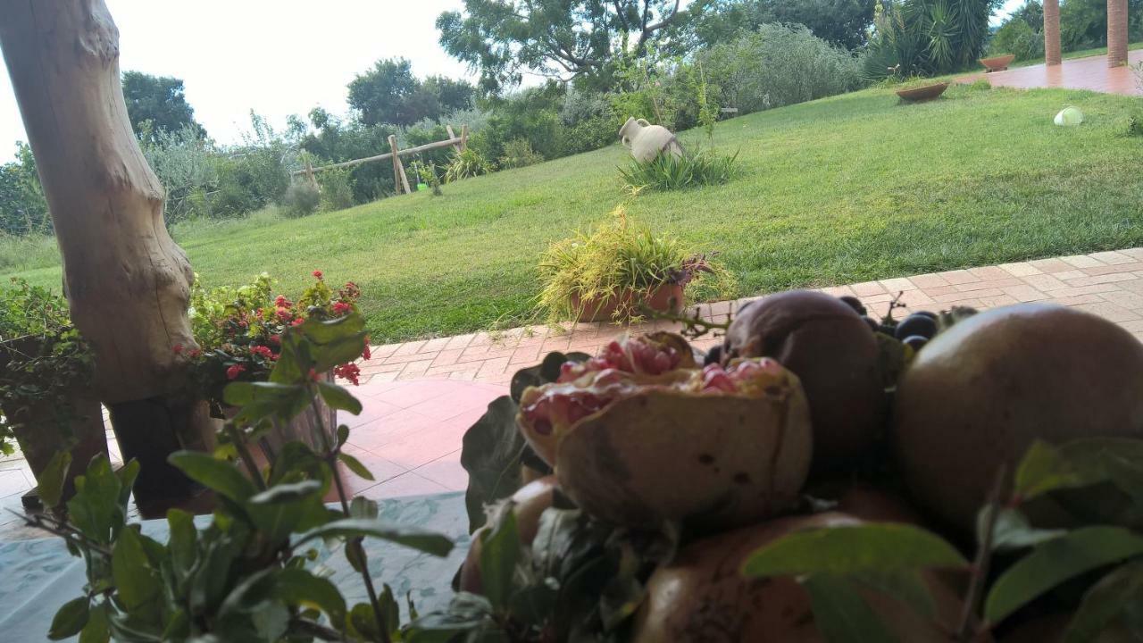 B&B Macchia D'Olmo Capaccio Dış mekan fotoğraf