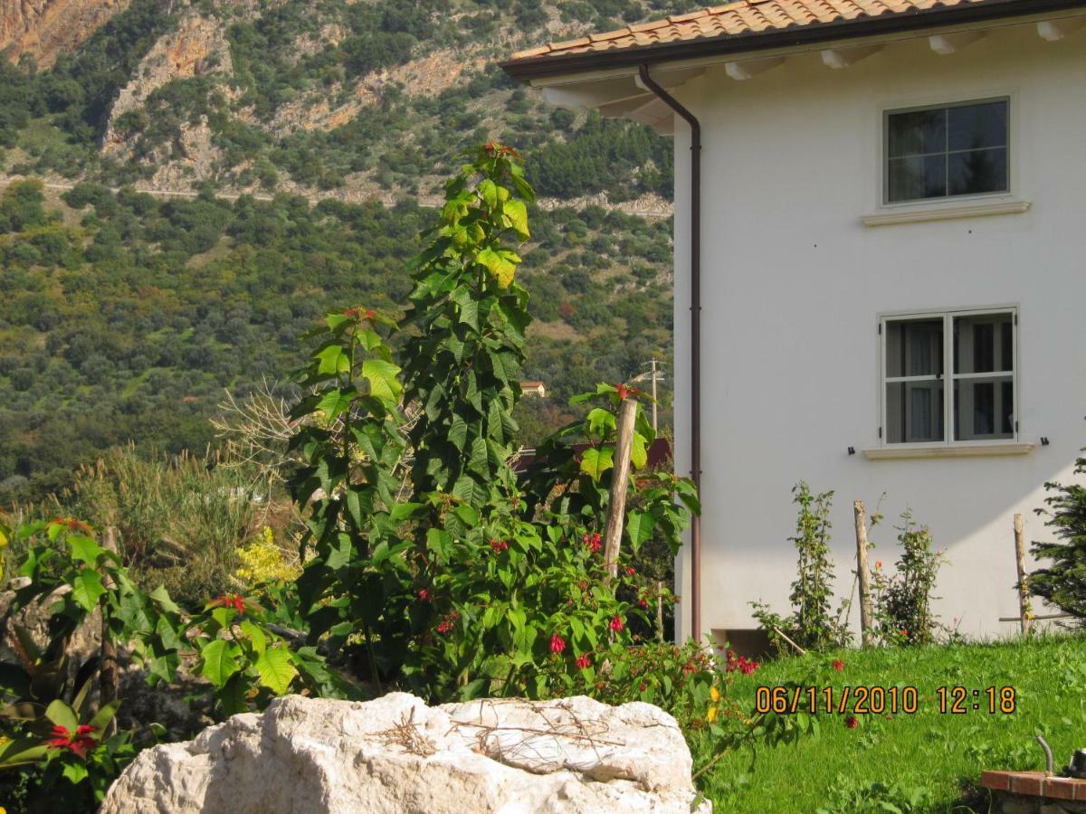 B&B Macchia D'Olmo Capaccio Dış mekan fotoğraf