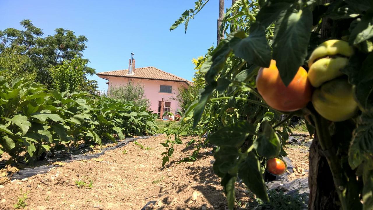 B&B Macchia D'Olmo Capaccio Dış mekan fotoğraf