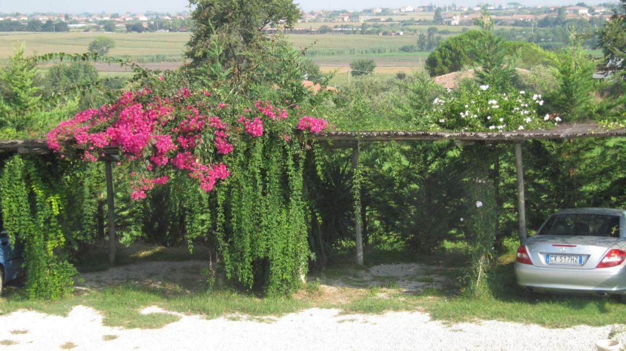 B&B Macchia D'Olmo Capaccio Dış mekan fotoğraf