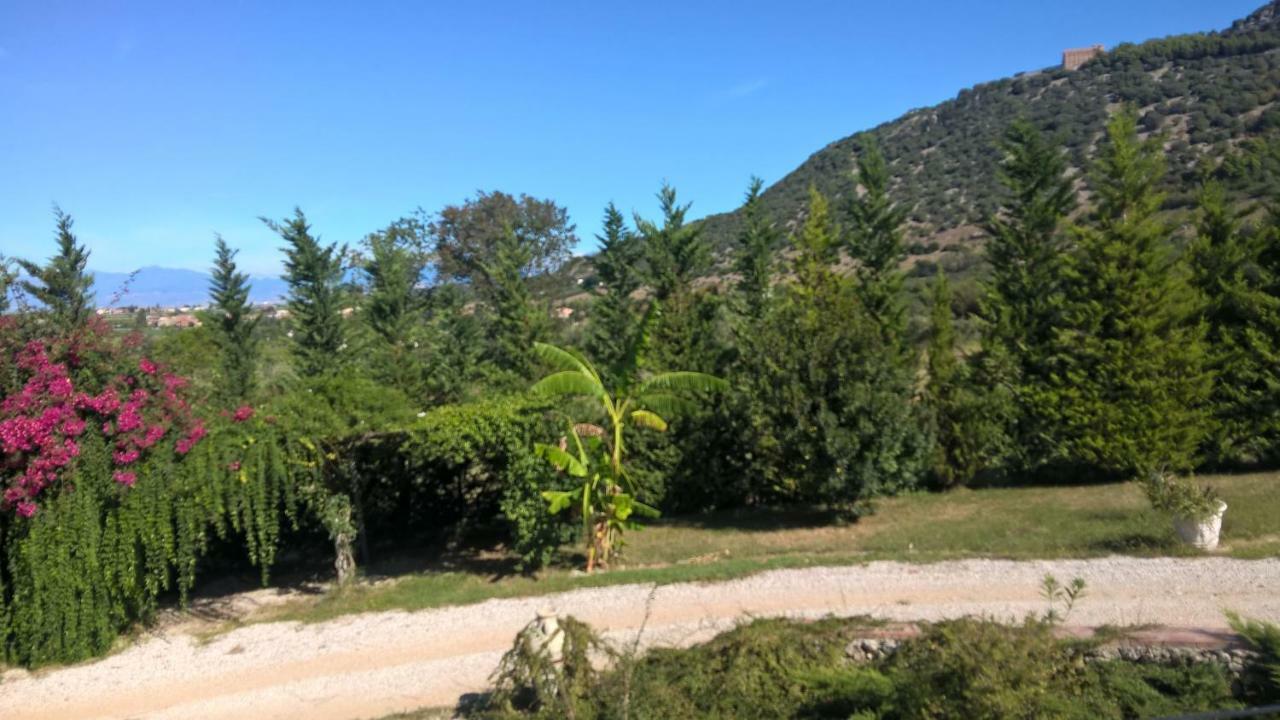B&B Macchia D'Olmo Capaccio Dış mekan fotoğraf