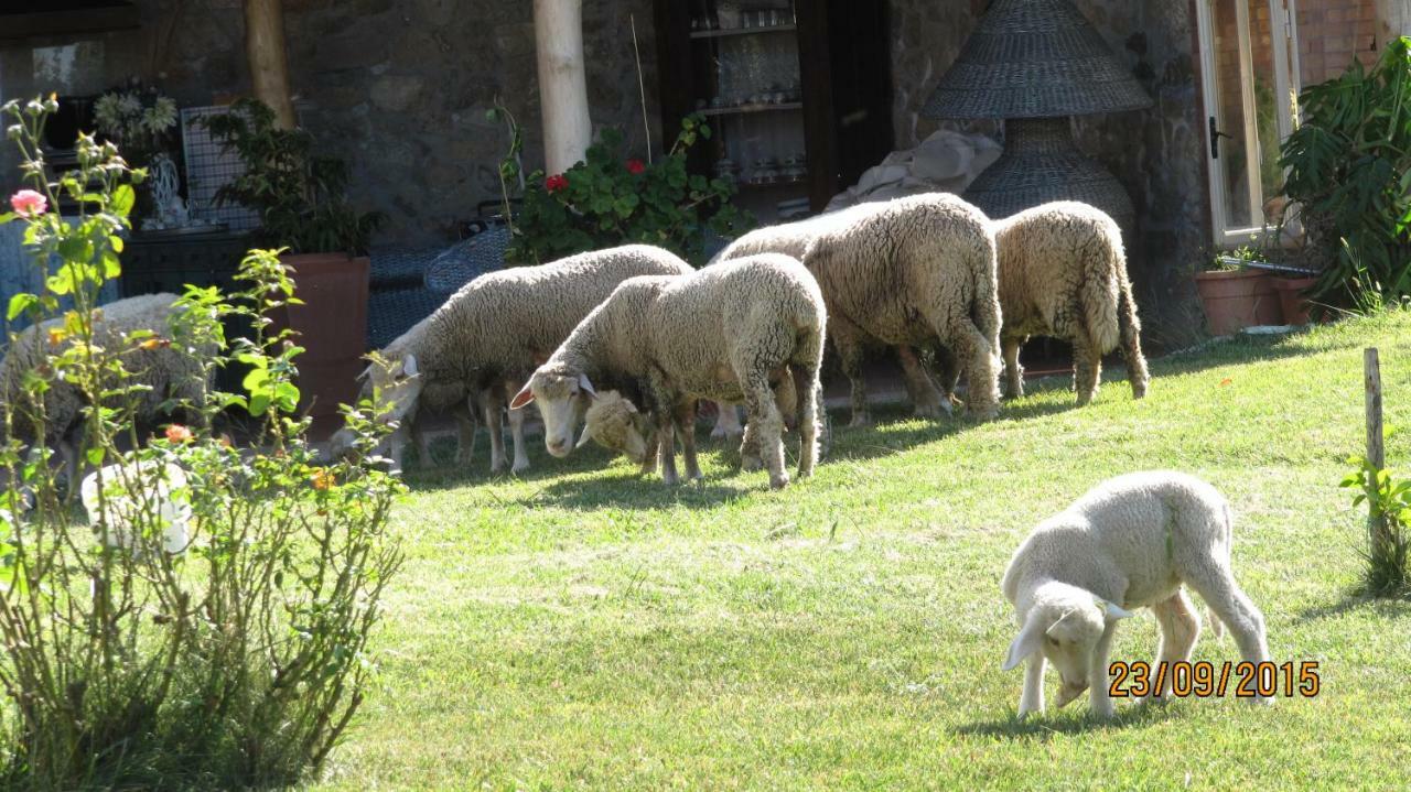 B&B Macchia D'Olmo Capaccio Dış mekan fotoğraf