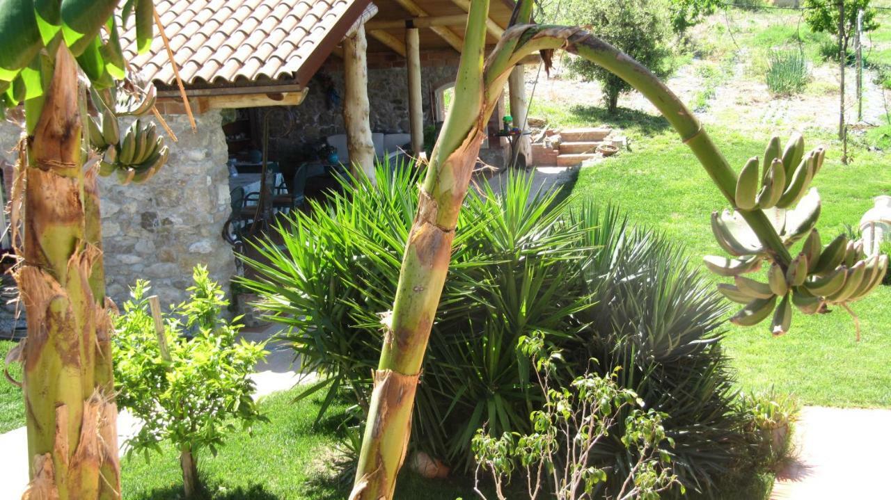 B&B Macchia D'Olmo Capaccio Dış mekan fotoğraf