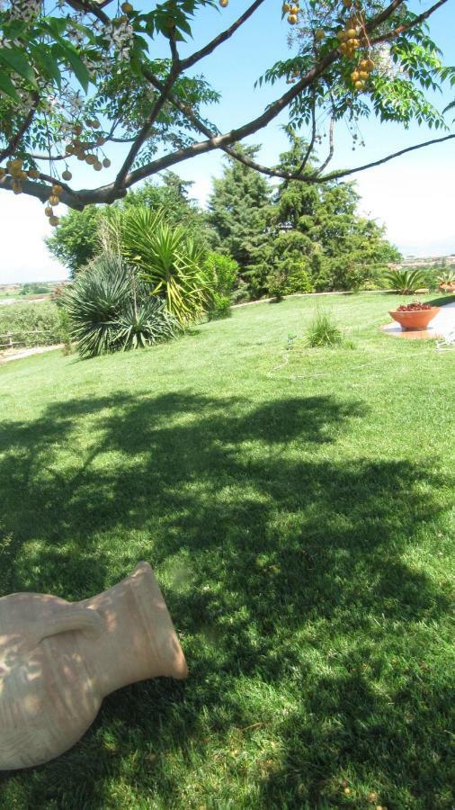 B&B Macchia D'Olmo Capaccio Dış mekan fotoğraf