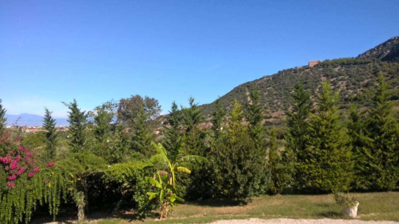 B&B Macchia D'Olmo Capaccio Dış mekan fotoğraf